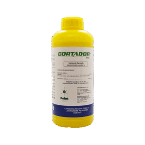 handpicked red chillies