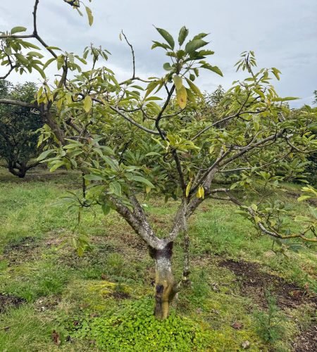 imagen de whatsapp 2025 10 20 a las 15.43.12 41f20eb8