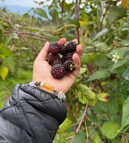 imagen de whatsapp 2025 10 20 a las 15.43.12 476aaa7c